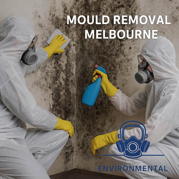 Licensed mould removal and remediation for builders and councils in Melbourne